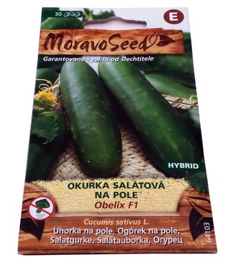 Uhorka šalátová Obelix F1