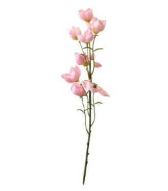 Zvonček ružový 32cm