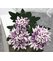 Fialová viackvetá chryzantéma s 5 kvetmi a listami na stonke, dĺžka 72cm, kvet od 4-9cm