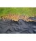 Textília Garden tkaná H1101 1x10m, 100 g/m2