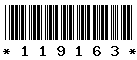 119163 119163
