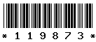 119873 119873