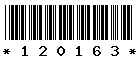 120163