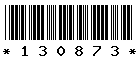 130873 130873