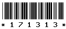 171313