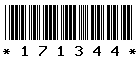 171344 171344