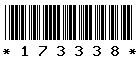 173338 173338