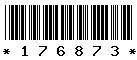 176873 176873