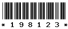 198123 198123