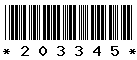 203345 203345