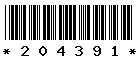 204391