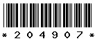 204907 204907
