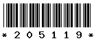 205119 205119