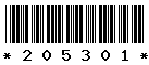 205301 205301
