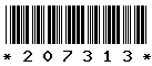 207313 207313