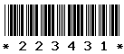 223431 223431