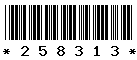 258313