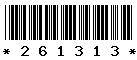 261313 261313