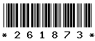 261873