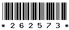 262573 262573