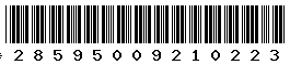 28595009210223 28595009210223