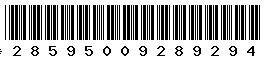 28595009289294 28595009289294