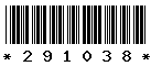 291038