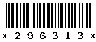 296313