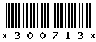 300713