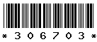 306703 306703