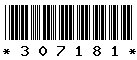 307181 307181