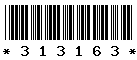 313163 313163