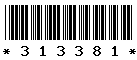 313381 313381