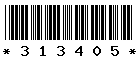 313405 313405