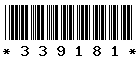 339181 339181