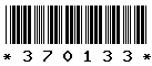 370133 370133