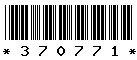 370771 370771