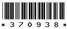 370938 370938