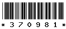 370981 370981