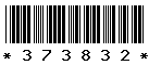 373832
