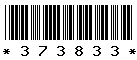 373833