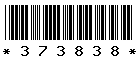 373838 373838