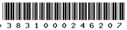 3831000246207