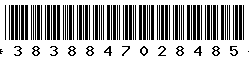 3838847028485