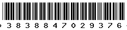 3838847029376 3838847029376