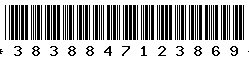 3838847123869 3838847123869