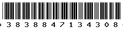 3838847134308 3838847134308
