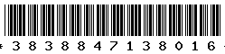 3838847138016 3838847138016