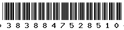 3838847528510 3838847528510