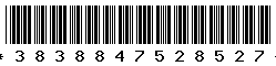 3838847528527 3838847528527